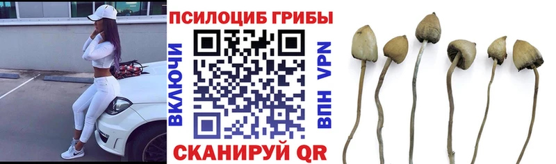 Купить закладки  Ивантеевка  Галлюциногенные грибы GOLDEN TEACHER 